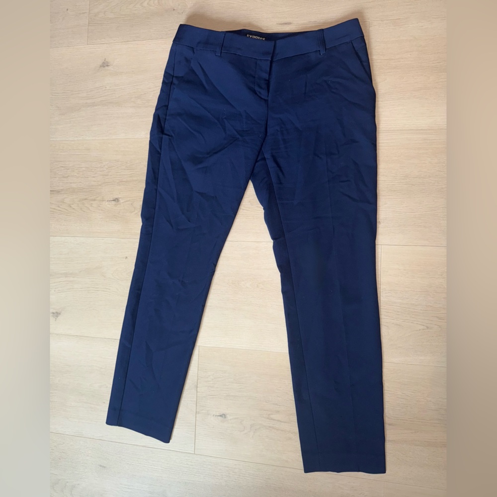 Express Dark blue pants